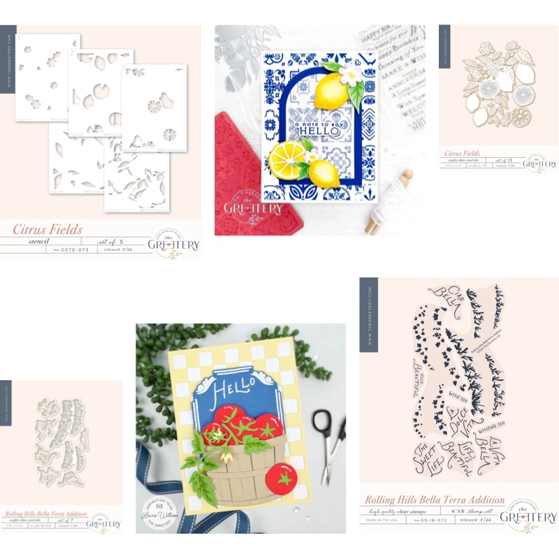 Checks Out Citrus Fields Clear - Clear Silicone Stamps For Card Making recensie en prijs
