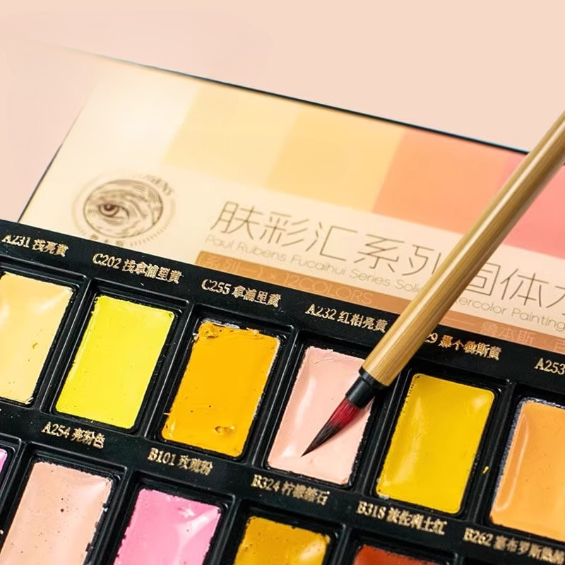 12 kleuren huidskleur effen aq - Watercolor Paint Set Solid Pigment recensie en prijs